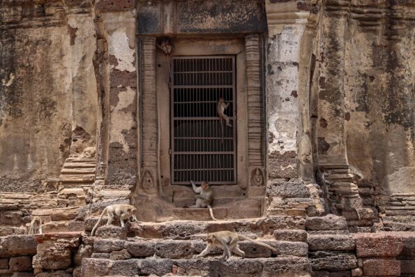 lopburi monkey temple, phra prang sam yot